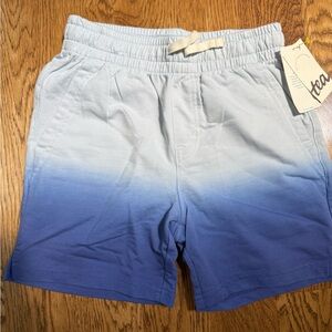 Tea Collection Size 10 - Blue and White Ombre Shorts